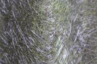 Melksham Forest fibreglass roof work